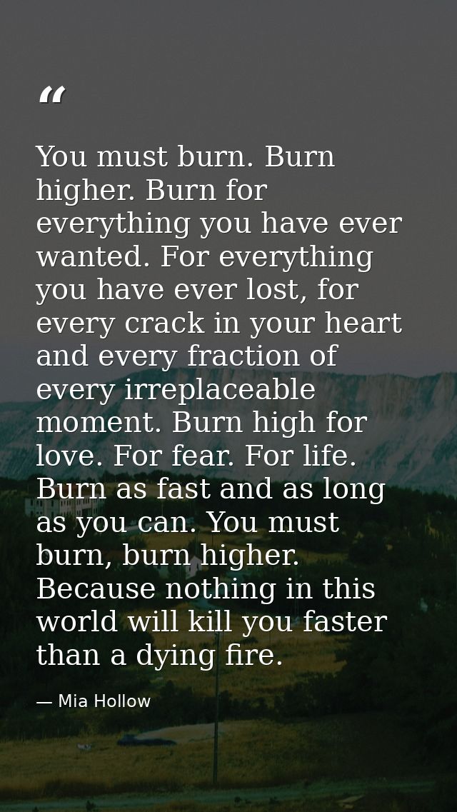 You must burn. Burn higher. Burn for everything you have ever wanted. For everything you have ever lost, for every crack — Mia Hollow