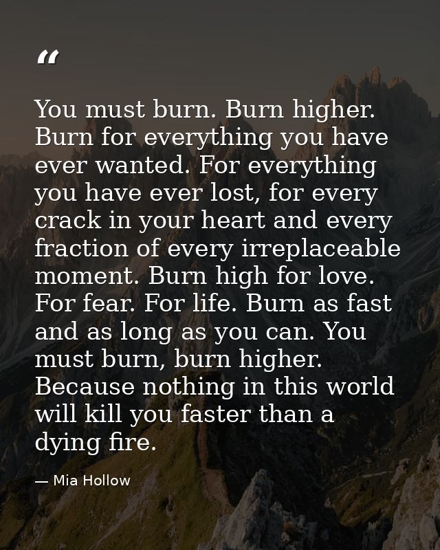 You must burn. Burn higher. Burn for everything you have ever wanted. For everything you have ever lost, for every crack — Mia Hollow