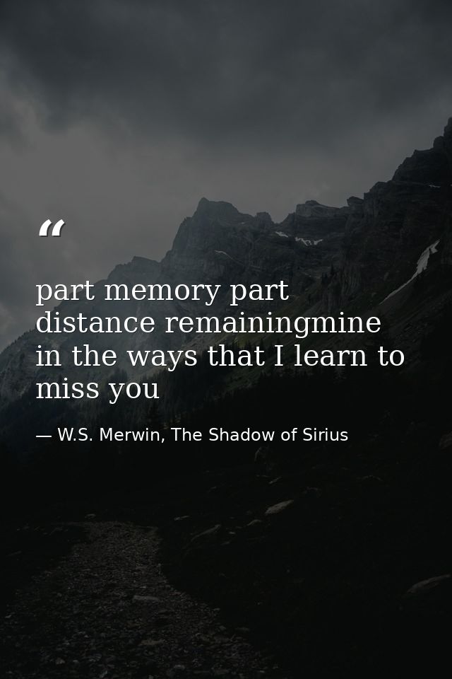 part memory part distance remainingmine in the ways that I learn to miss you — W.S. Merwin, The Shadow of Sirius