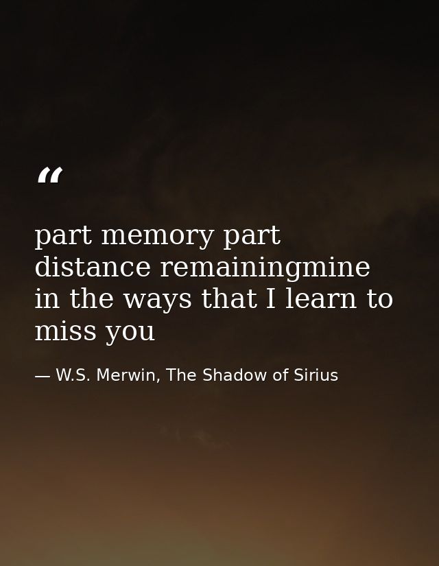 part memory part distance remainingmine in the ways that I learn to miss you — W.S. Merwin, The Shadow of Sirius
