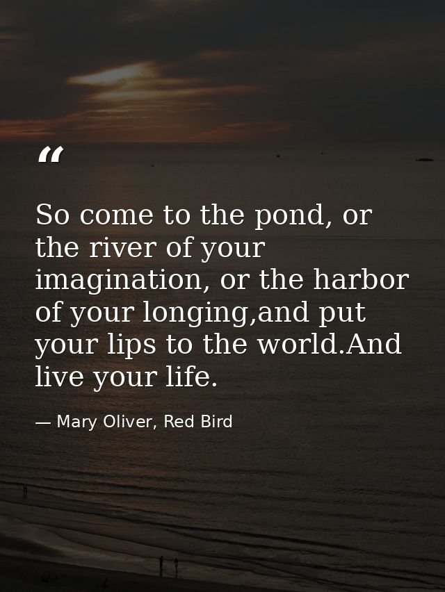 So come to the pond, or the river of your imagination, or the harbor of your longing,and put your lips to the world.And  — Mary Oliver, Red Bird