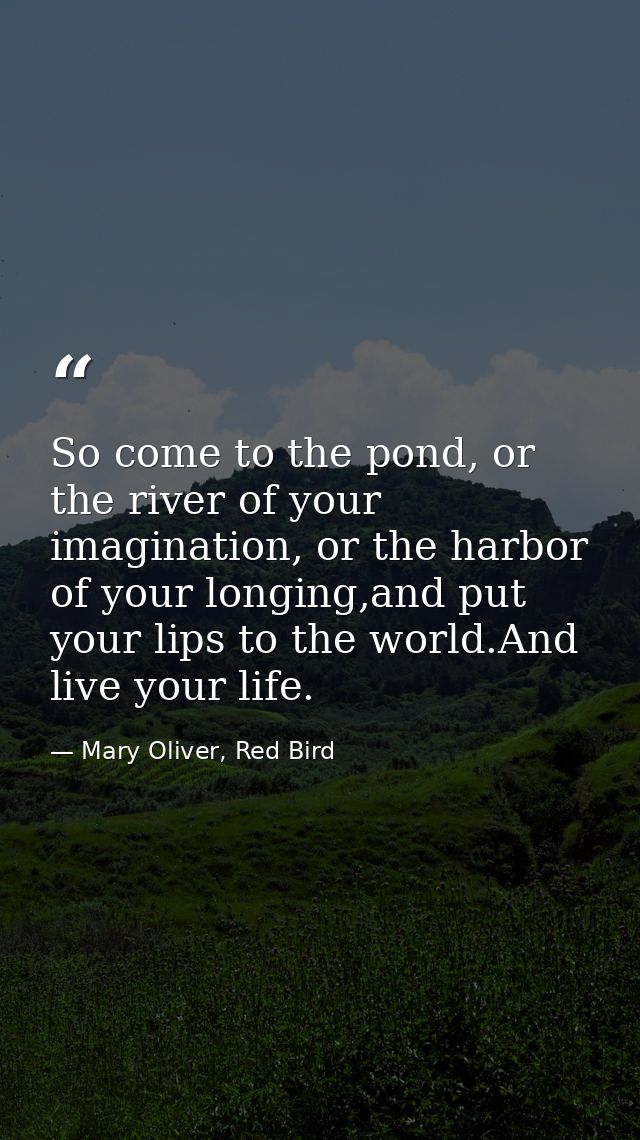 So come to the pond, or the river of your imagination, or the harbor of your longing,and put your lips to the world.And  — Mary Oliver, Red Bird