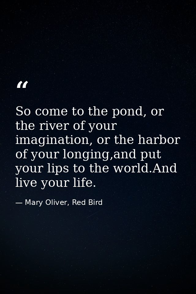 So come to the pond, or the river of your imagination, or the harbor of your longing,and put your lips to the world.And  — Mary Oliver, Red Bird