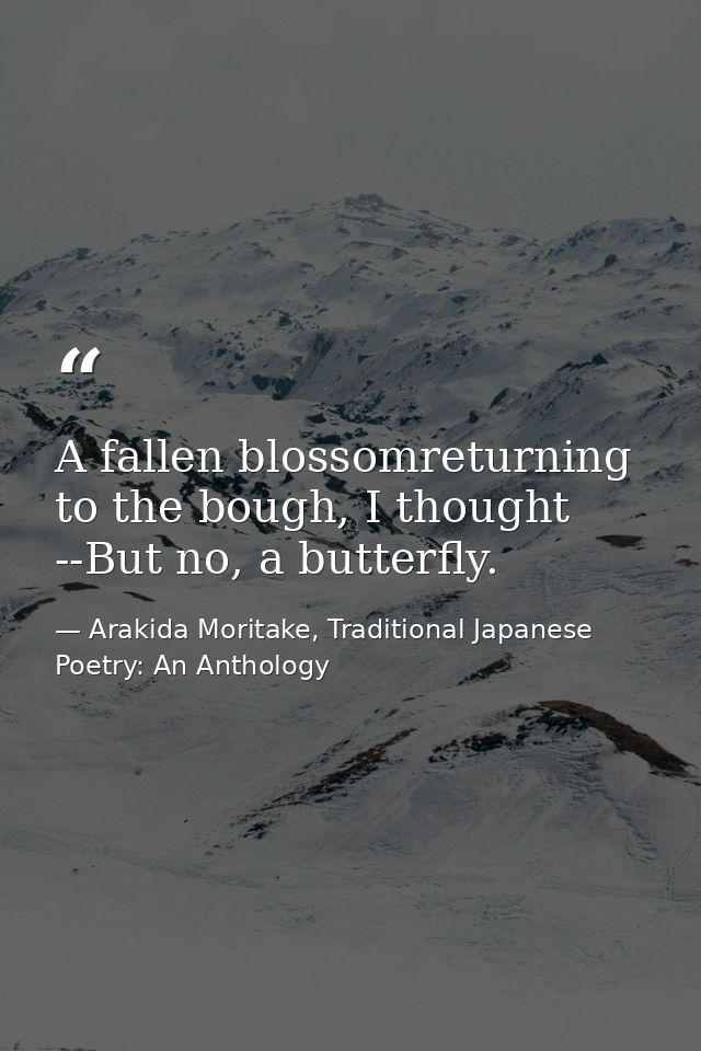 A fallen blossomreturning to the bough, I thought --But no, a butterfly. — Arakida Moritake, Traditional Japanese Poetry: An Anthology