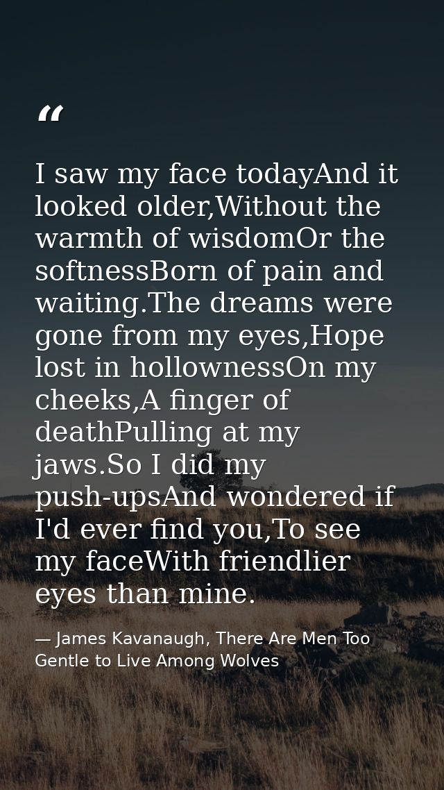 I saw my face todayAnd it looked older,Without the warmth of wisdomOr the softnessBorn of pain and waiting.The dreams we — James Kavanaugh, There Are Men Too Gentle to Live Among Wolves