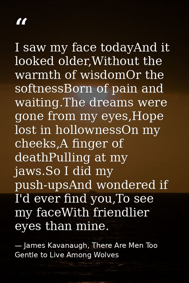 I saw my face todayAnd it looked older,Without the warmth of wisdomOr the softnessBorn of pain and waiting.The dreams we — James Kavanaugh, There Are Men Too Gentle to Live Among Wolves