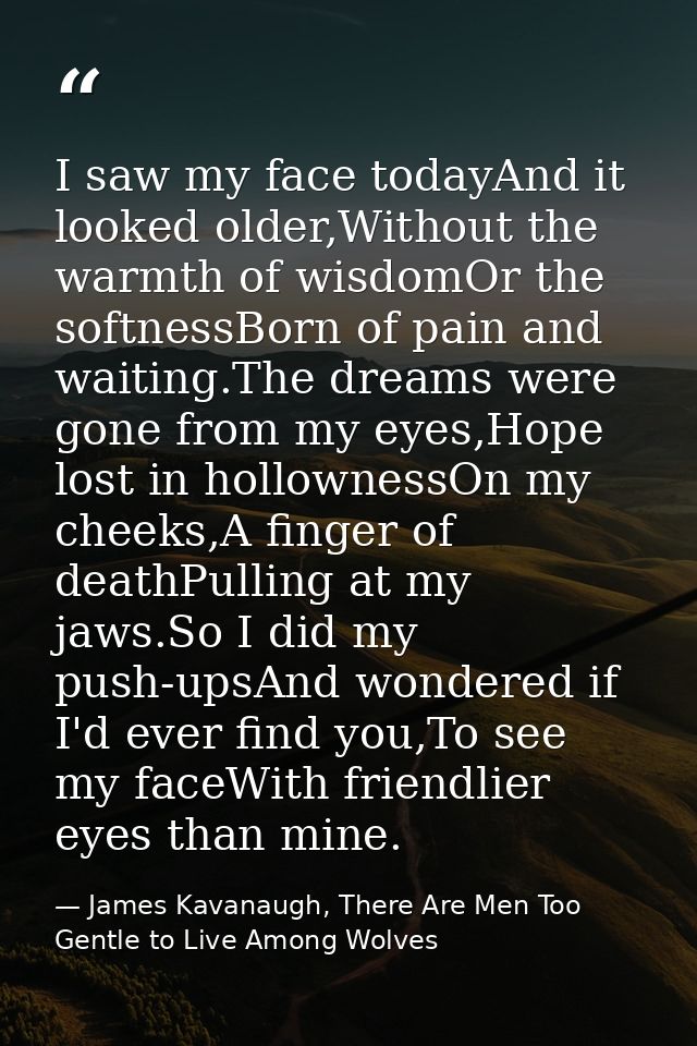 I saw my face todayAnd it looked older,Without the warmth of wisdomOr the softnessBorn of pain and waiting.The dreams we — James Kavanaugh, There Are Men Too Gentle to Live Among Wolves