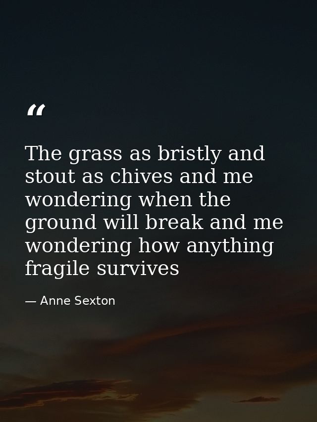 The grass as bristly and stout as chives and me wondering when the ground will break and me wondering how anything fragi — Anne Sexton