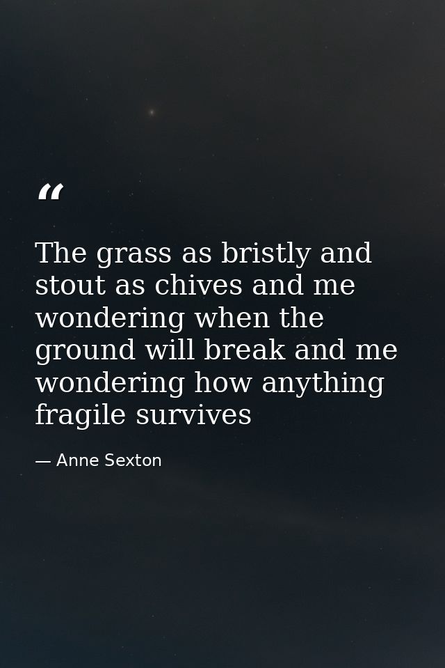 The grass as bristly and stout as chives and me wondering when the ground will break and me wondering how anything fragi — Anne Sexton