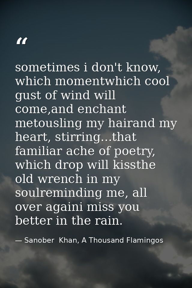 sometimes i don't know, which momentwhich cool gust of wind will come,and enchant metousling my hairand my heart, stirri — Sanober  Khan, A Thousand Flamingos