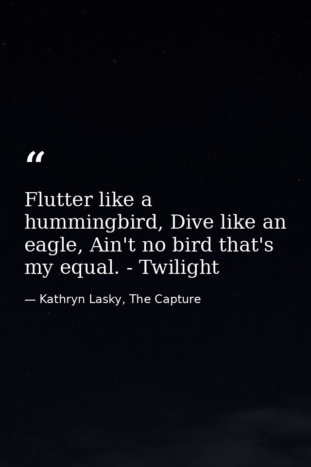 Flutter like a hummingbird, Dive like an eagle, Ain't no bird that's my equal. - Twilight — Kathryn Lasky, The Capture