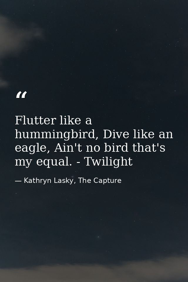 Flutter like a hummingbird, Dive like an eagle, Ain't no bird that's my equal. - Twilight — Kathryn Lasky, The Capture