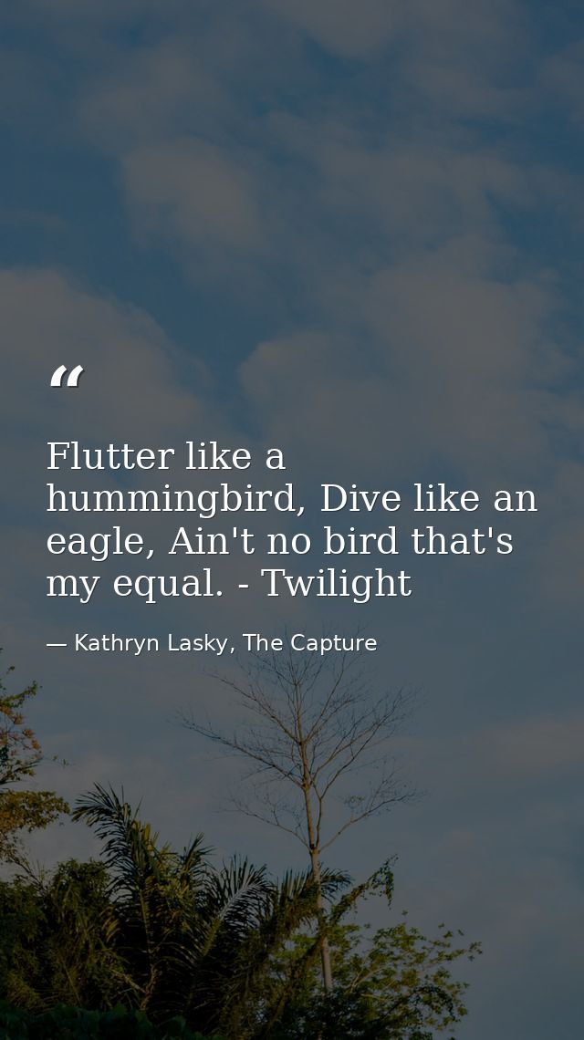 Flutter like a hummingbird, Dive like an eagle, Ain't no bird that's my equal. - Twilight — Kathryn Lasky, The Capture