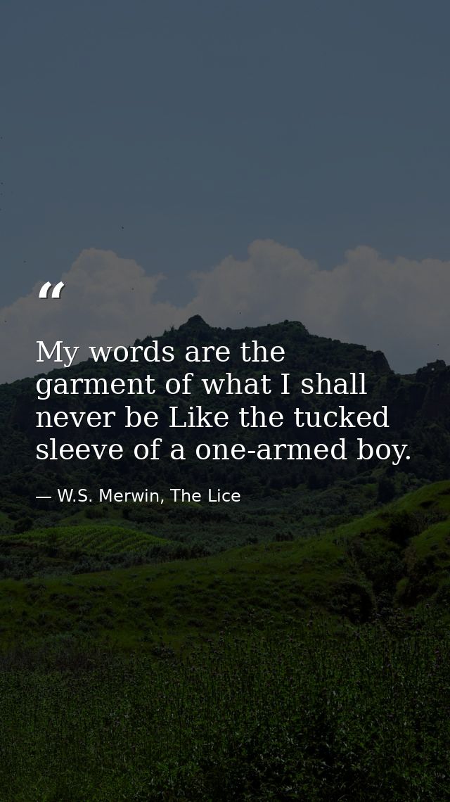 My words are the garment of what I shall never be Like the tucked sleeve of a one-armed boy. — W.S. Merwin, The Lice