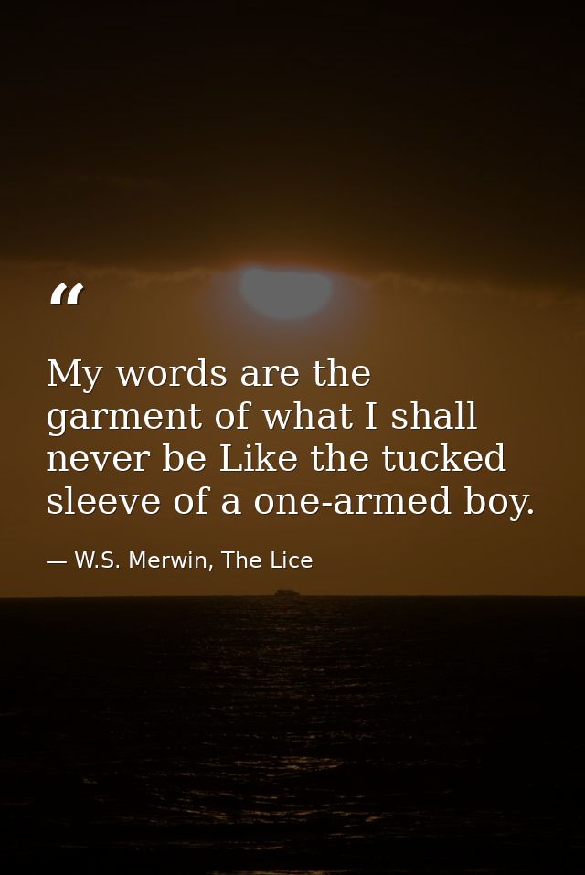 My words are the garment of what I shall never be Like the tucked sleeve of a one-armed boy. — W.S. Merwin, The Lice