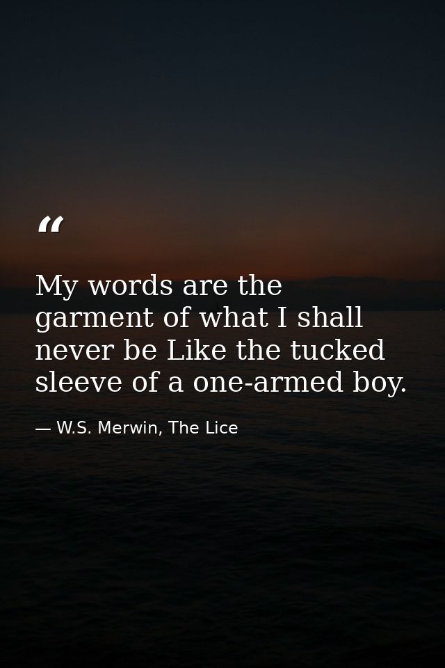 My words are the garment of what I shall never be Like the tucked sleeve of a one-armed boy. — W.S. Merwin, The Lice