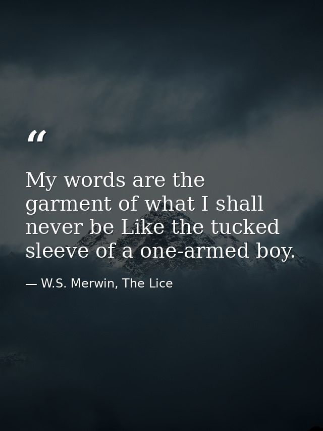 My words are the garment of what I shall never be Like the tucked sleeve of a one-armed boy. — W.S. Merwin, The Lice