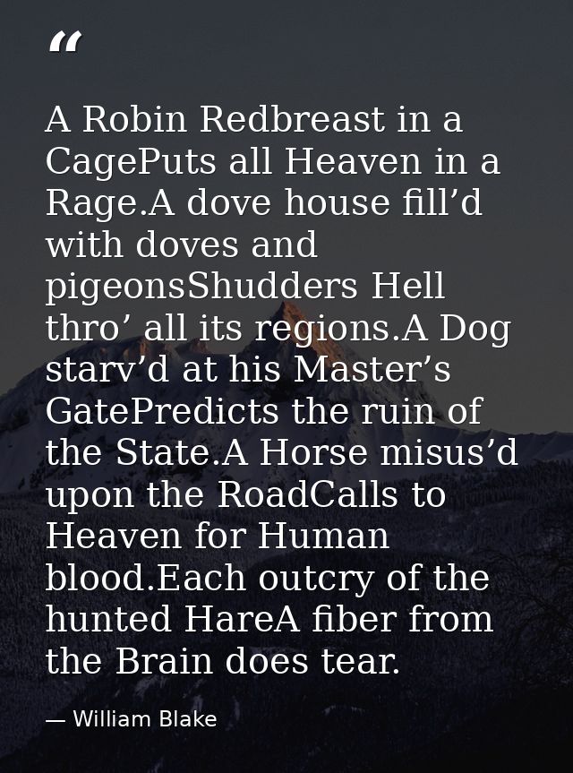 A Robin Redbreast in a CagePuts all Heaven in a Rage.A dove house fill’d with doves and pigeonsShudders Hell thro’ all i — William Blake