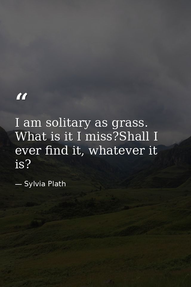 I am solitary as grass. What is it I miss?Shall I ever find it, whatever it is? — Sylvia Plath