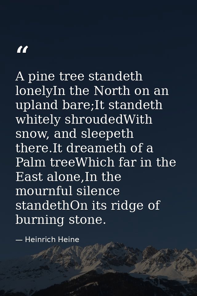 A pine tree standeth lonelyIn the North on an upland bare;It standeth whitely shroudedWith snow, and sleepeth there.It d — Heinrich Heine