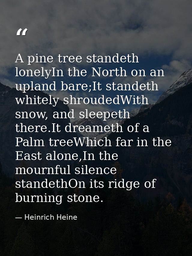 A pine tree standeth lonelyIn the North on an upland bare;It standeth whitely shroudedWith snow, and sleepeth there.It d — Heinrich Heine