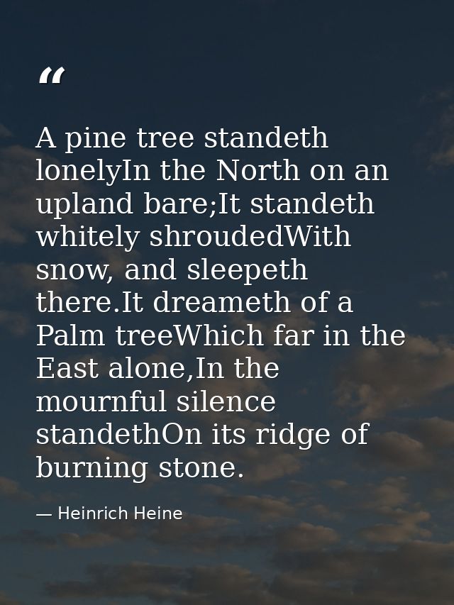 A pine tree standeth lonelyIn the North on an upland bare;It standeth whitely shroudedWith snow, and sleepeth there.It d — Heinrich Heine