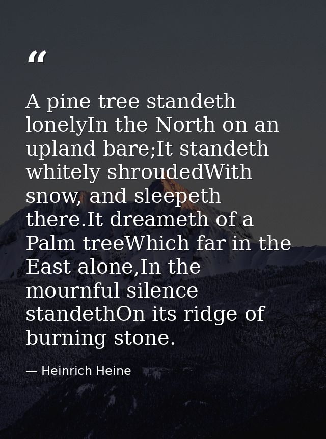 A pine tree standeth lonelyIn the North on an upland bare;It standeth whitely shroudedWith snow, and sleepeth there.It d — Heinrich Heine