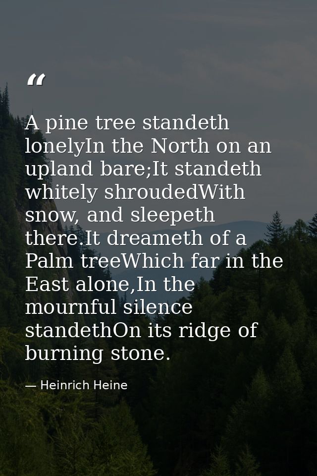 A pine tree standeth lonelyIn the North on an upland bare;It standeth whitely shroudedWith snow, and sleepeth there.It d — Heinrich Heine