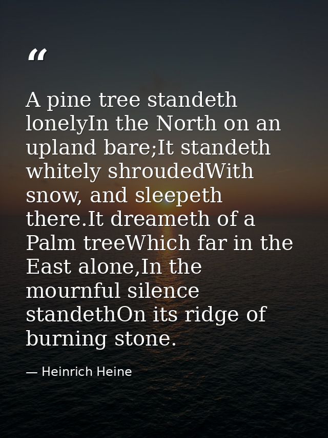 A pine tree standeth lonelyIn the North on an upland bare;It standeth whitely shroudedWith snow, and sleepeth there.It d — Heinrich Heine
