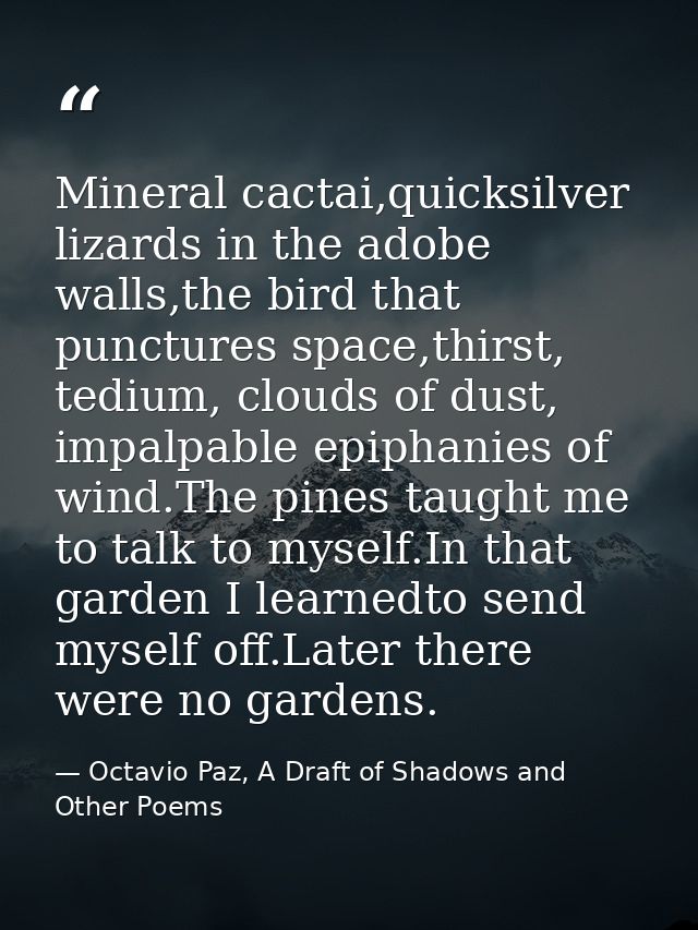 Mineral cactai,quicksilver lizards in the adobe walls,the bird that punctures space,thirst, tedium, clouds of dust, impa — Octavio Paz, A Draft of Shadows and Other Poems
