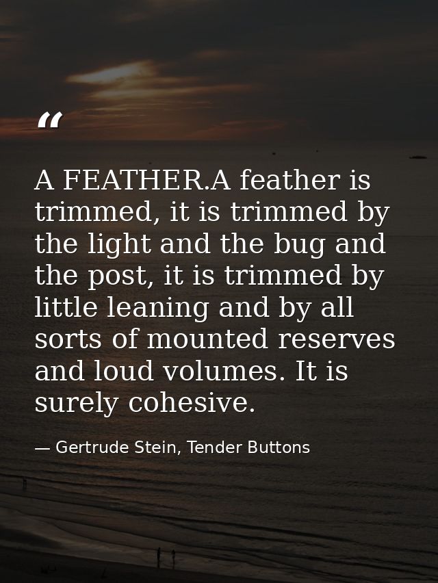 A FEATHER.A feather is trimmed, it is trimmed by the light and the bug and the post, it is trimmed by little leaning and — Gertrude Stein, Tender Buttons