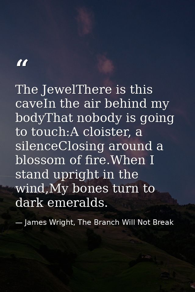The JewelThere is this caveIn the air behind my bodyThat nobody is going to touch:A cloister, a silenceClosing around a  — James Wright, The Branch Will Not Break