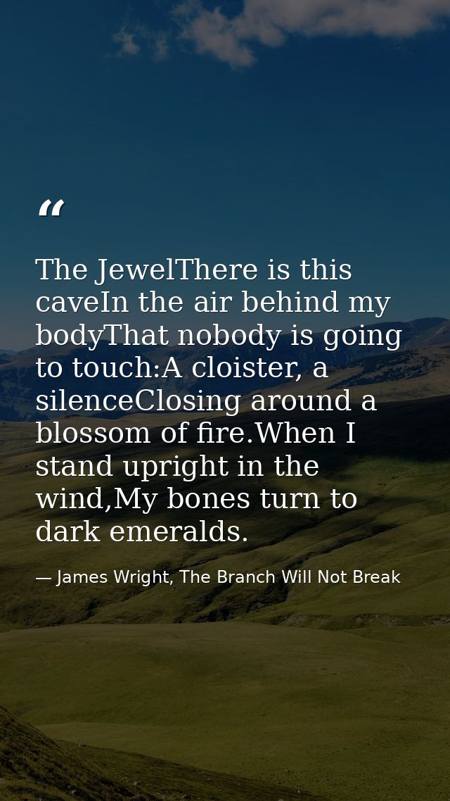 The JewelThere is this caveIn the air behind my bodyThat nobody is going to touch:A cloister, a silenceClosing around a  — James Wright, The Branch Will Not Break