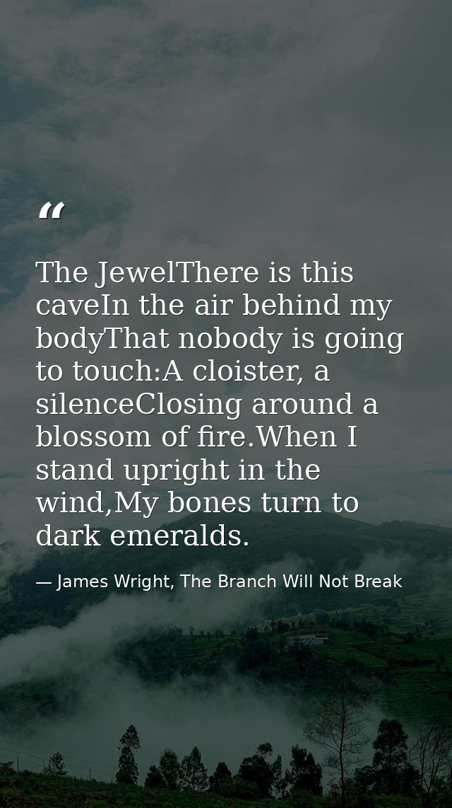 The JewelThere is this caveIn the air behind my bodyThat nobody is going to touch:A cloister, a silenceClosing around a  — James Wright, The Branch Will Not Break