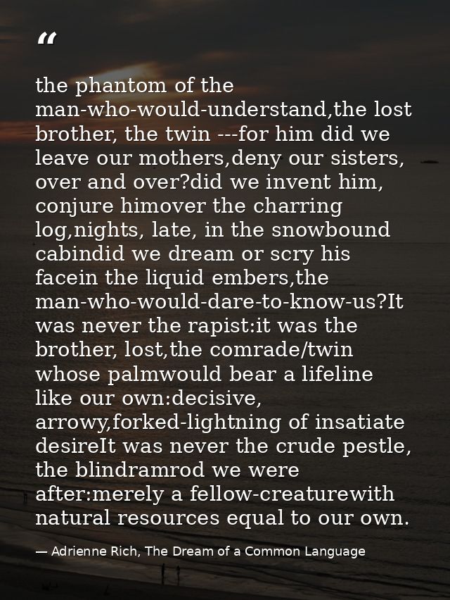 the phantom of the man-who-would-understand,the lost brother, the twin ---for him did we leave our mothers,deny our sist — Adrienne Rich, The Dream of a Common Language
