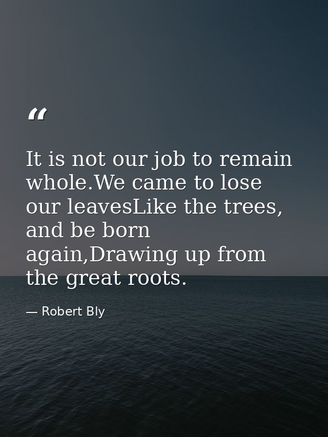 It is not our job to remain whole.We came to lose our leavesLike the trees, and be born again,Drawing up from the great  — Robert Bly