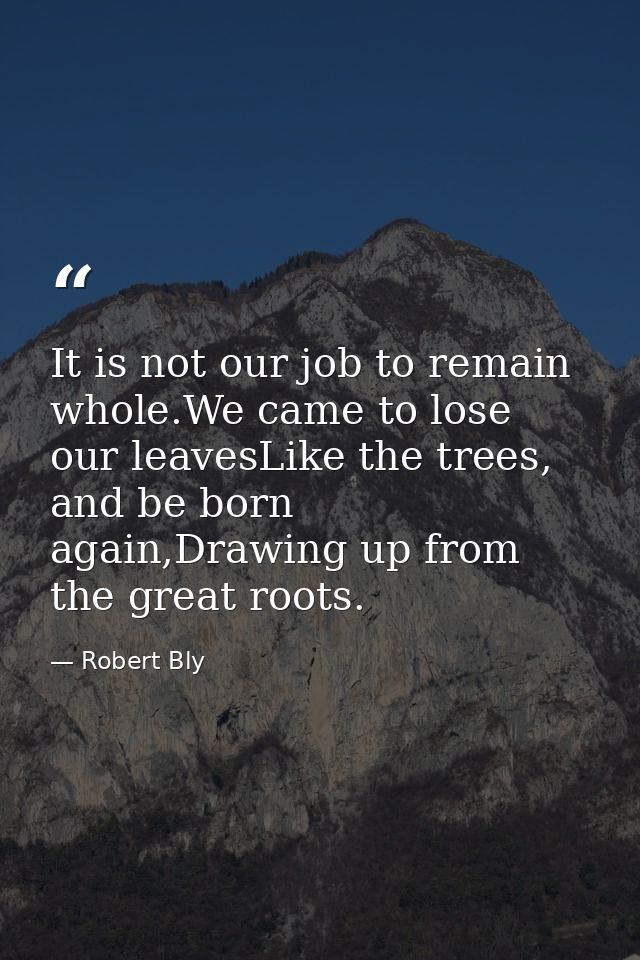 It is not our job to remain whole.We came to lose our leavesLike the trees, and be born again,Drawing up from the great  — Robert Bly