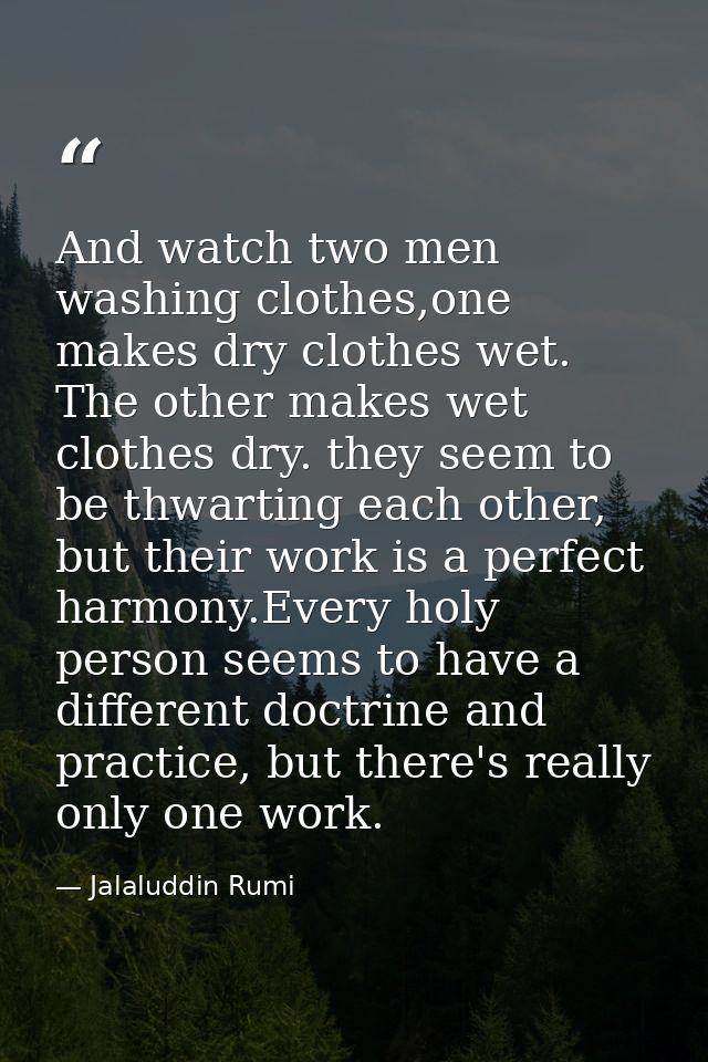 And watch two men washing clothes,one makes dry clothes wet. The other makes wet clothes dry. they seem to be thwarting  — Jalaluddin Rumi