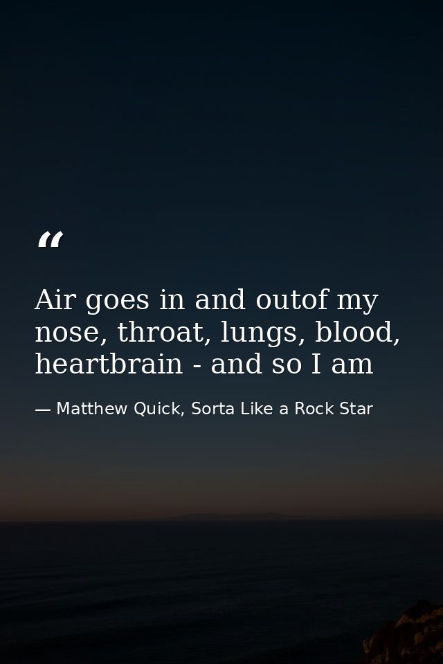 Air goes in and outof my nose, throat, lungs, blood, heartbrain - and so I am — Matthew Quick, Sorta Like a Rock Star