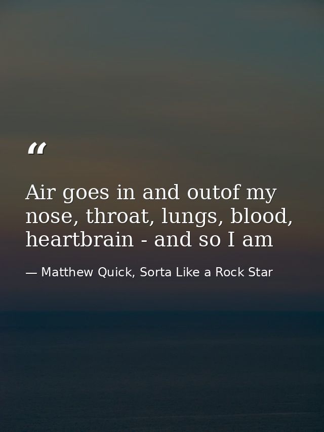 Air goes in and outof my nose, throat, lungs, blood, heartbrain - and so I am — Matthew Quick, Sorta Like a Rock Star