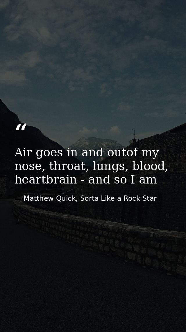 Air goes in and outof my nose, throat, lungs, blood, heartbrain - and so I am — Matthew Quick, Sorta Like a Rock Star