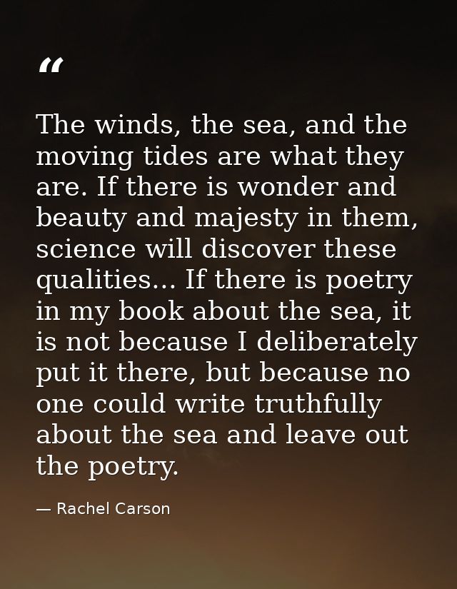 The winds, the sea, and the moving tides are what they are. If there is wonder and beauty and majesty in them, science w — Rachel Carson