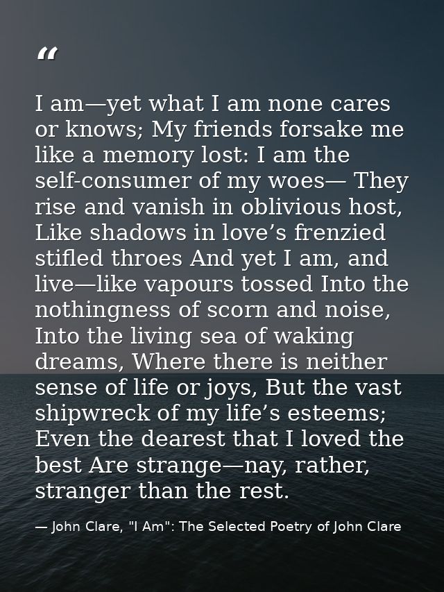 I am—yet what I am none cares or knows; My friends forsake me like a memory lost: I am the self-consumer of my woes— The — John Clare, "I Am": The Selected Poetry of John Clare