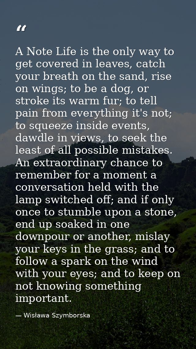 A Note Life is the only way to get covered in leaves, catch your breath on the sand, rise on wings; to be a dog, or stro — Wisława Szymborska