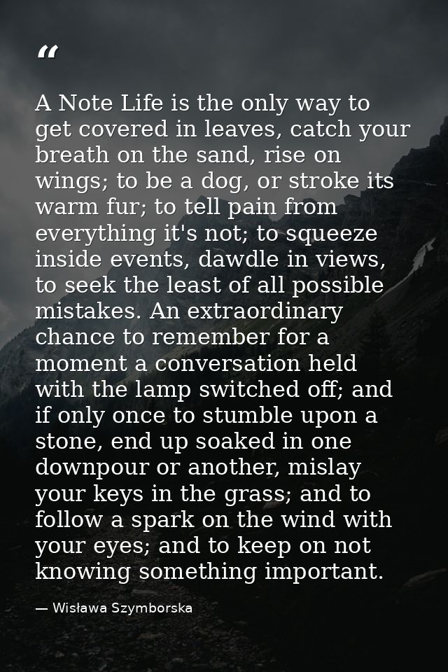 A Note Life is the only way to get covered in leaves, catch your breath on the sand, rise on wings; to be a dog, or stro — Wisława Szymborska