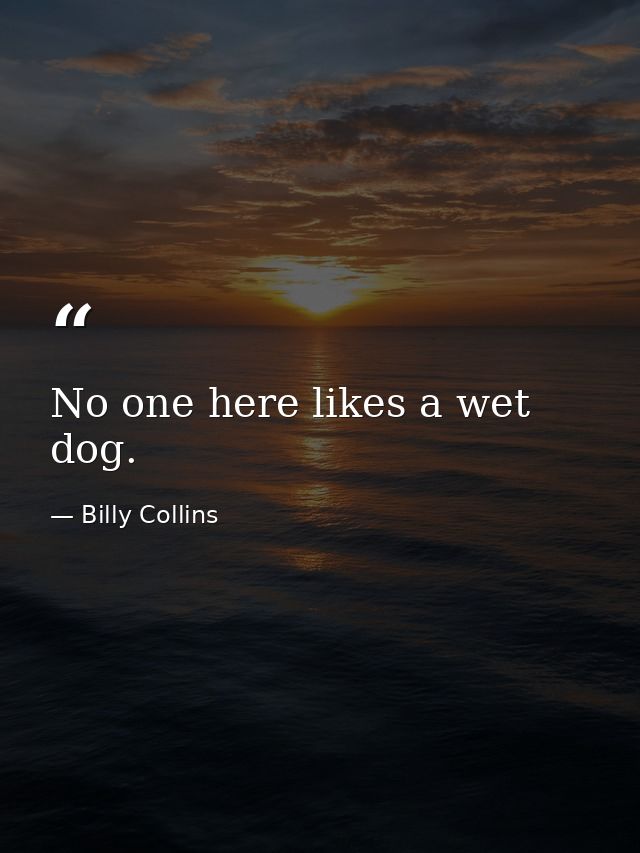 No one here likes a wet dog. — Billy Collins