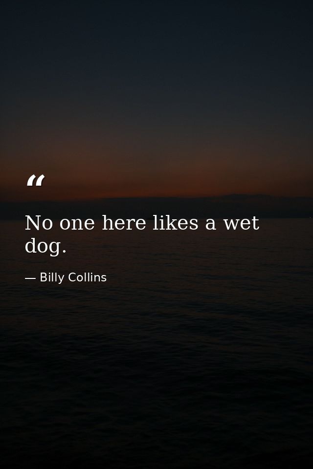 No one here likes a wet dog. — Billy Collins