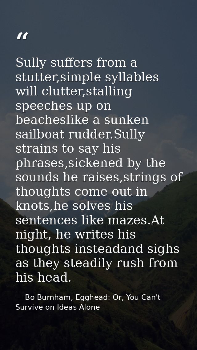 Sully suffers from a stutter,simple syllables will clutter,stalling speeches up on beacheslike a sunken sailboat rudder. — Bo Burnham, Egghead: Or, You Can't Survive on Ideas Alone