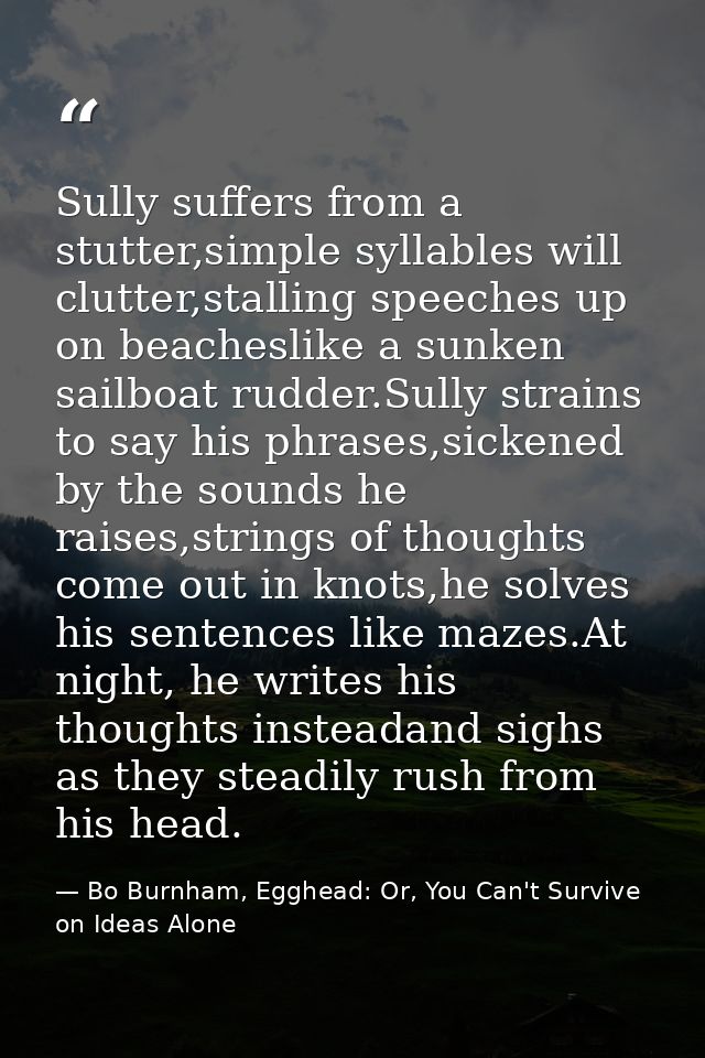 Sully suffers from a stutter,simple syllables will clutter,stalling speeches up on beacheslike a sunken sailboat rudder. — Bo Burnham, Egghead: Or, You Can't Survive on Ideas Alone