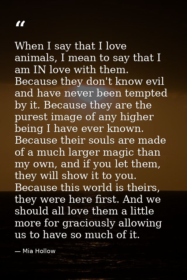 When I say that I love animals, I mean to say that I am IN love with them. Because they don't know evil and have never b — Mia Hollow